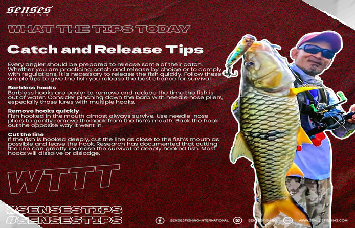 Catch and Release Tips