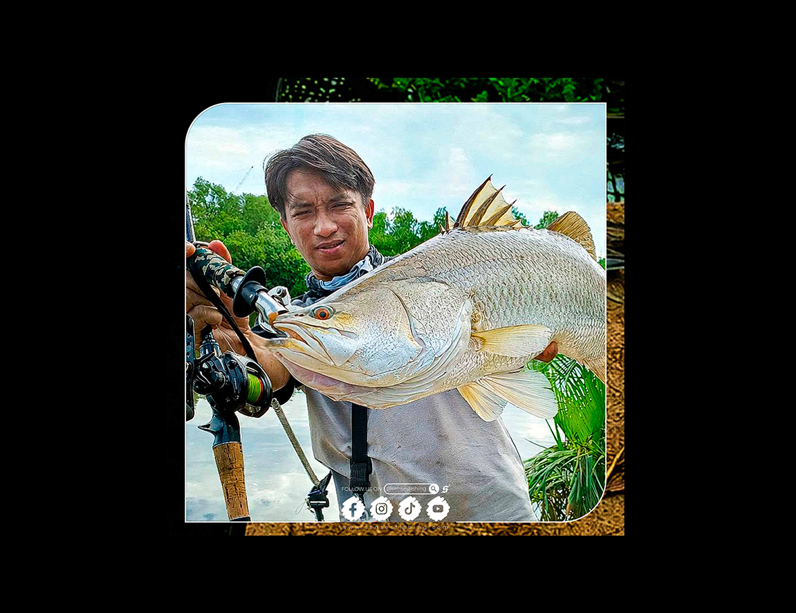 Apex Barramundi Tactical Matrix 💎