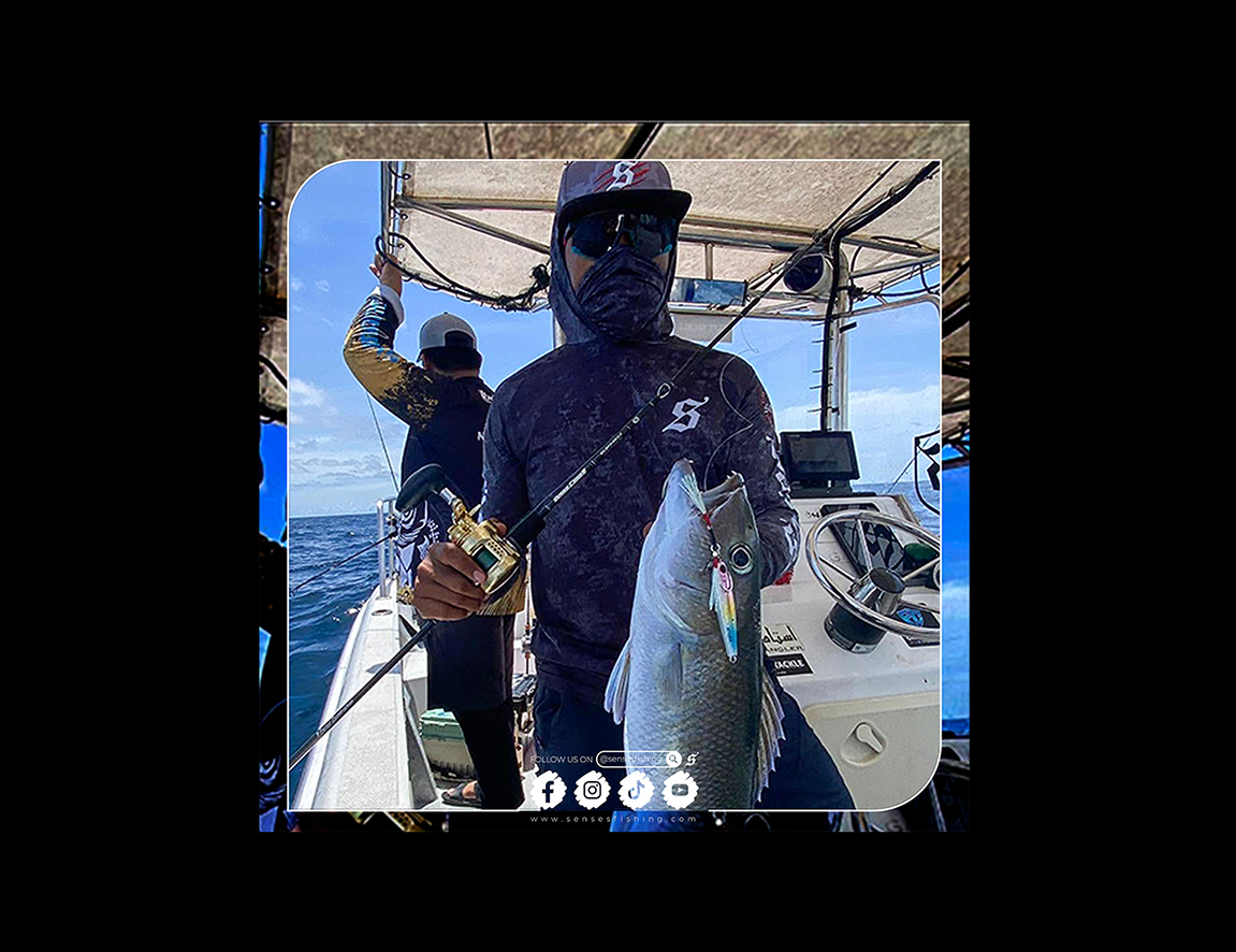 Slicing the Offshore Currents 🌊