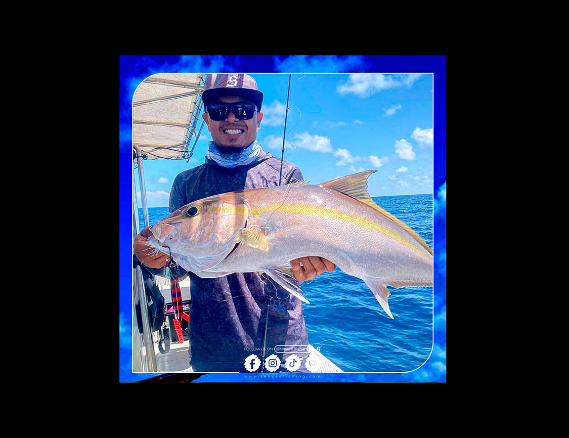 Amberjack’s Sudden Strike ♣️