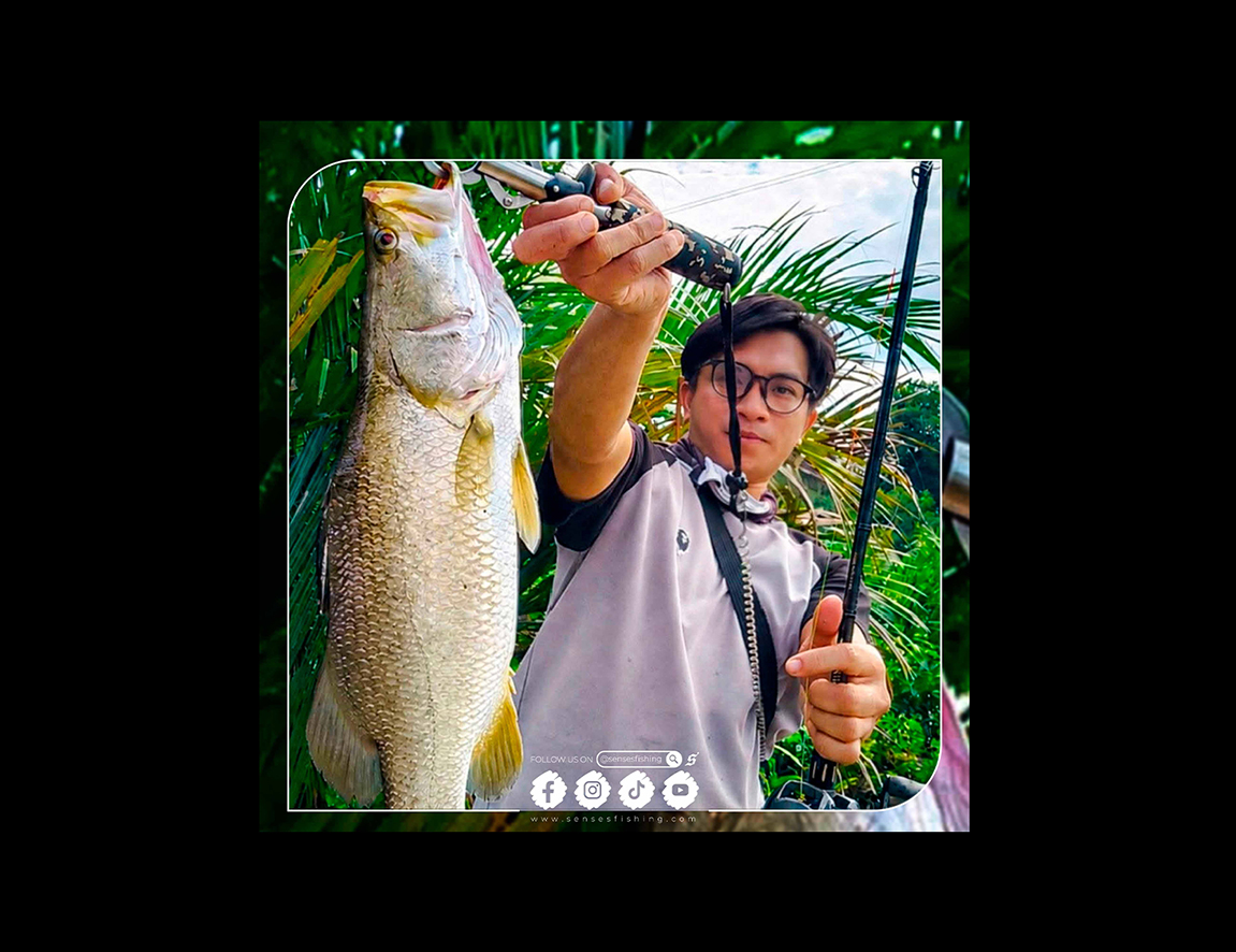 The Barramundi Quest 🌟