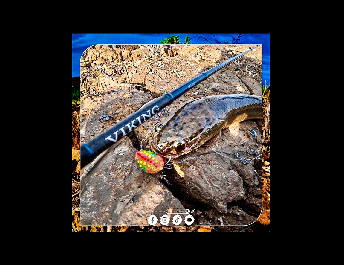 Lethal ABX Surface Action 🐸