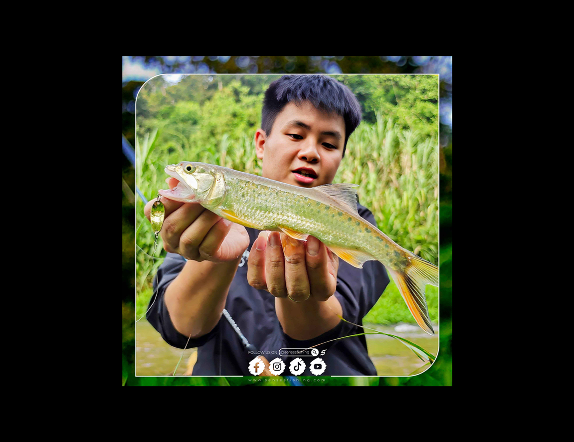 Targeting The Malayan Trout 🔍