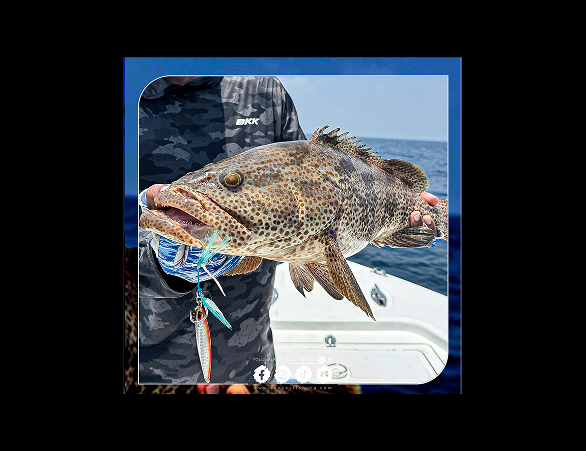 Scoring Reef Giants on Metal ⚓