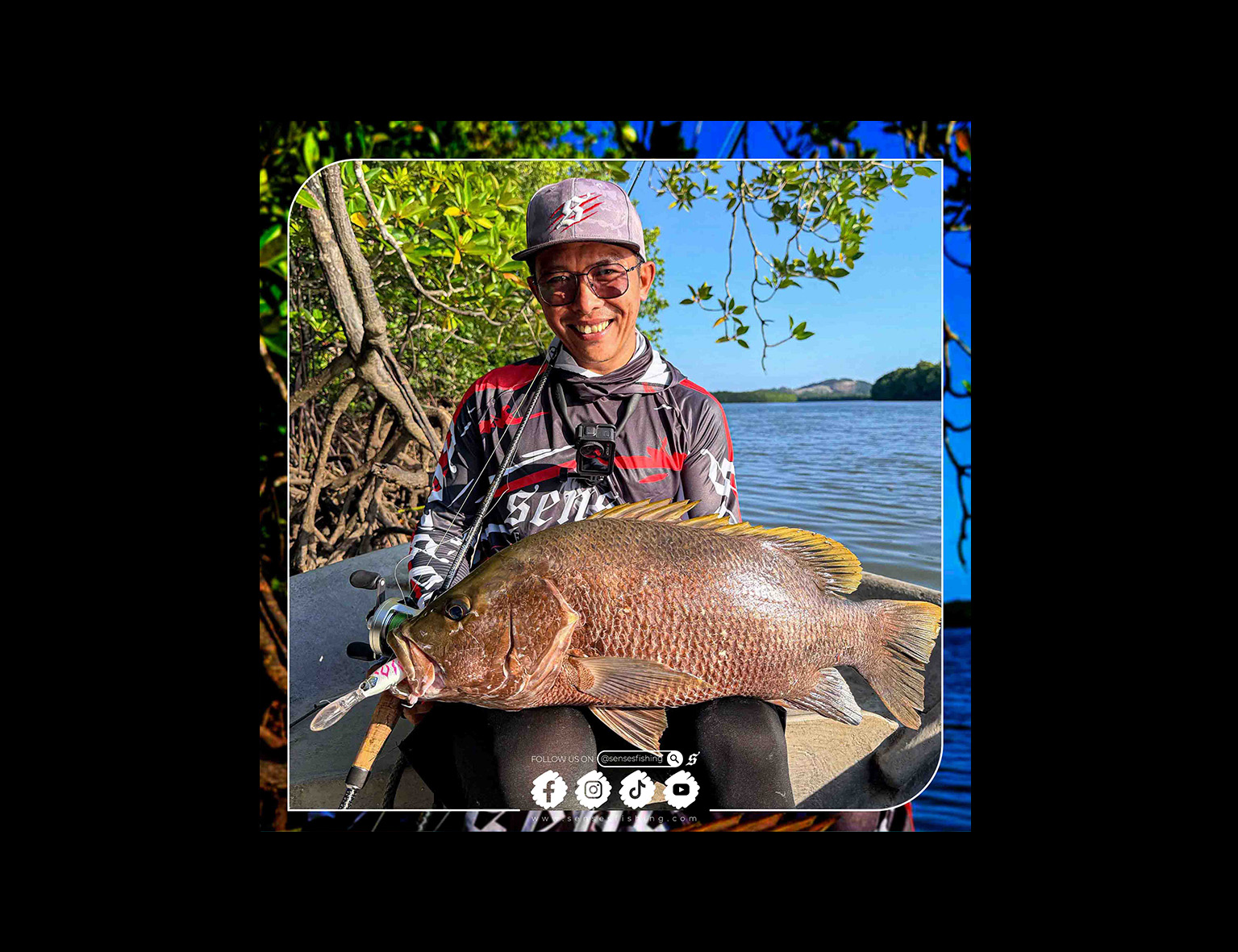 Decoding the Mangrove Zone 🎣🌿