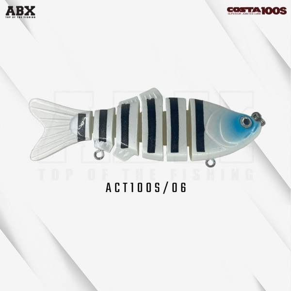 06_zebra_white_blue