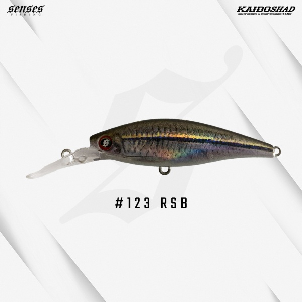 _123_rsb_rasbora_311362494