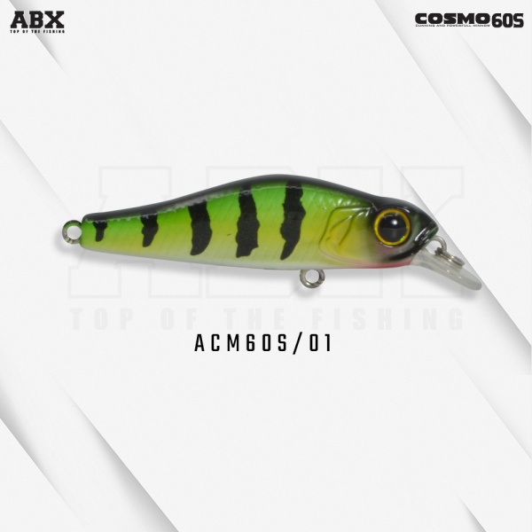 acm60s-01_212144500