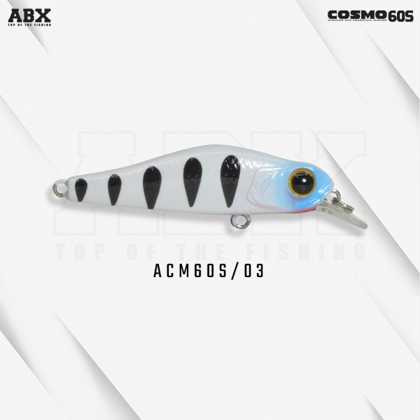 acm60s-03