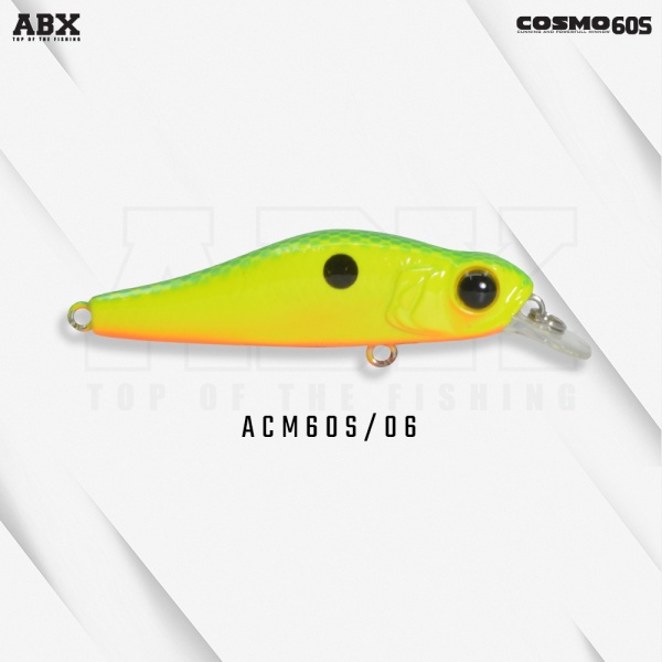 acm60s-06_1391768094