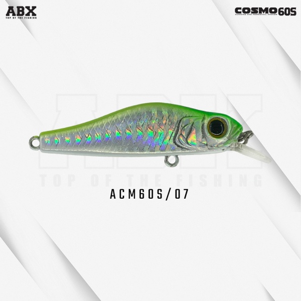 acm60s-07