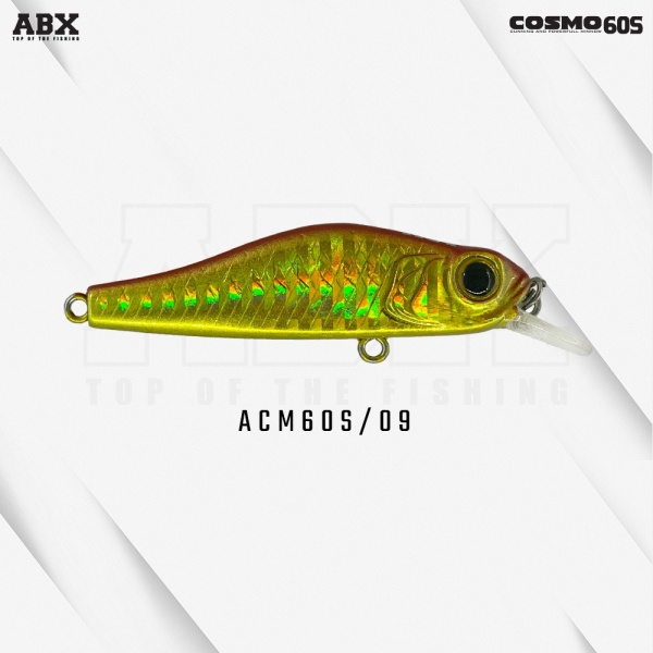 acm60s-09