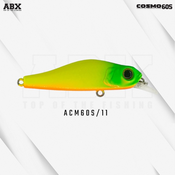 acm60s-11_219789543