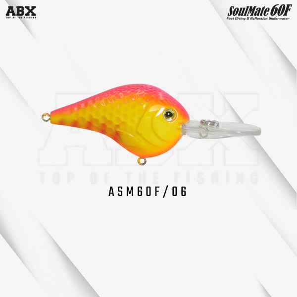 asm60f-06