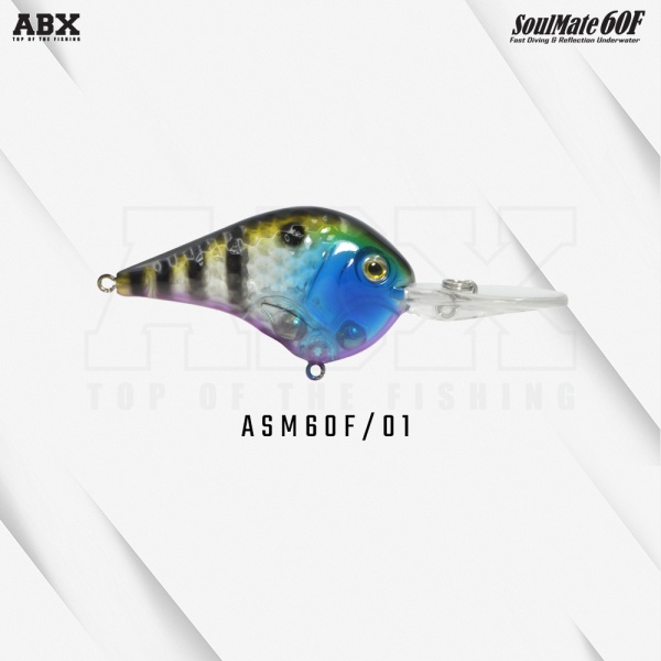 asm_60f-01