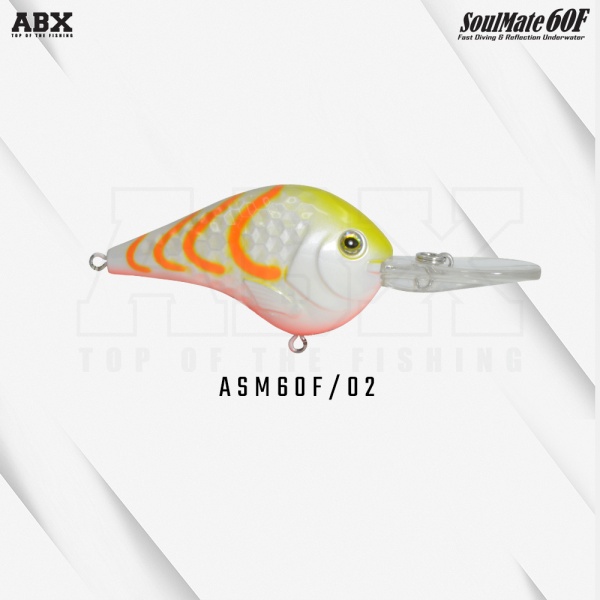 asm_60f-02