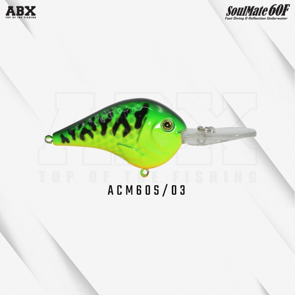 asm_60f-03