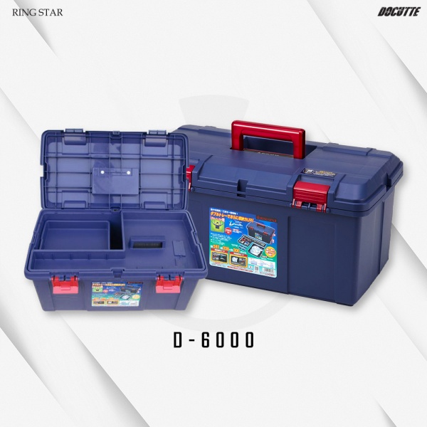 d-6000