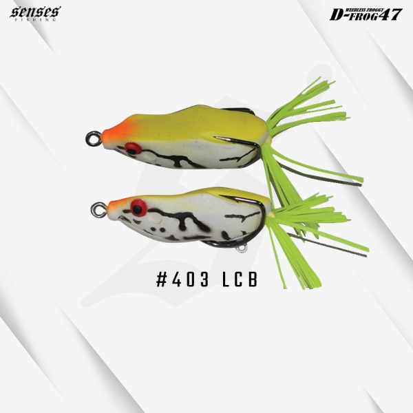 lemon_chart_back_403_lcb_31295639