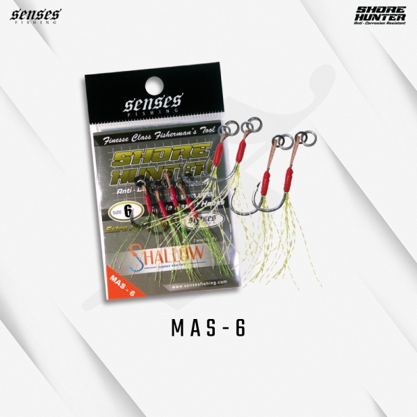 mas_6_1755184463